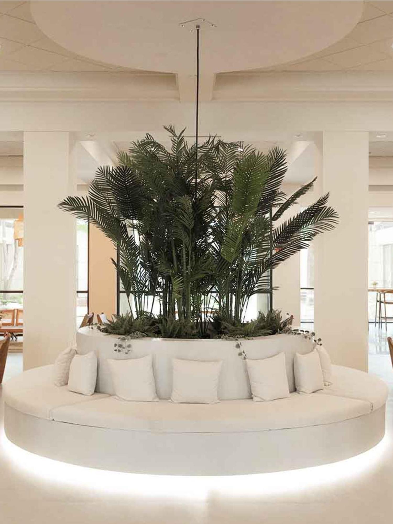 Memphis Vitality Hotel ภายนอก รูปภาพ